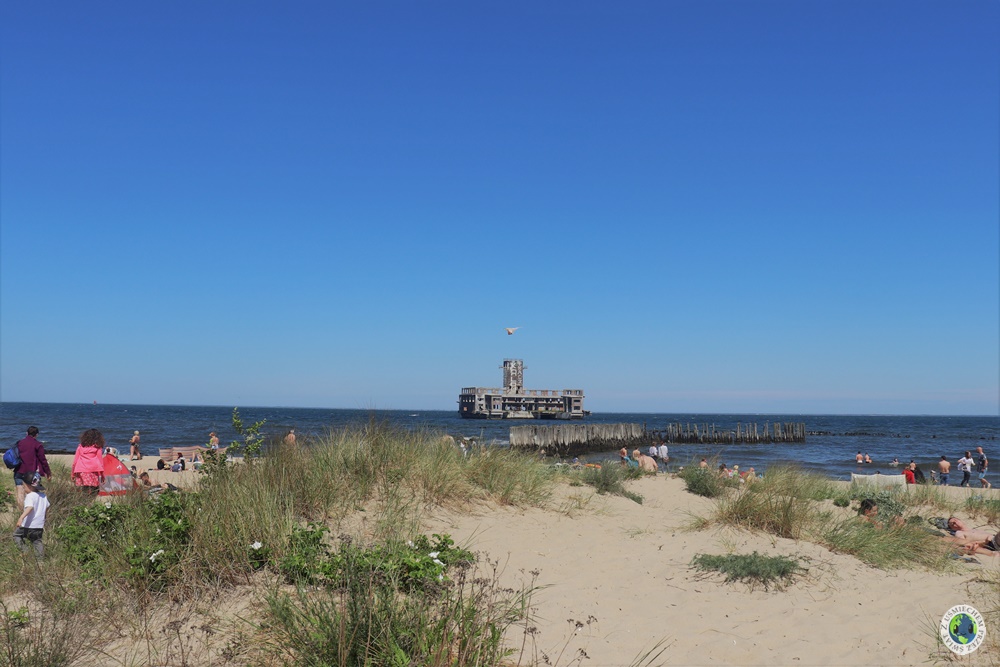 Plaża Babie Doły, Gdynia