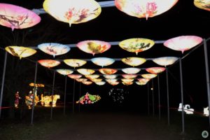 Chiński Festiwal Światła