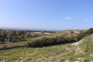 Park Archeologiczny w Syrakuzach